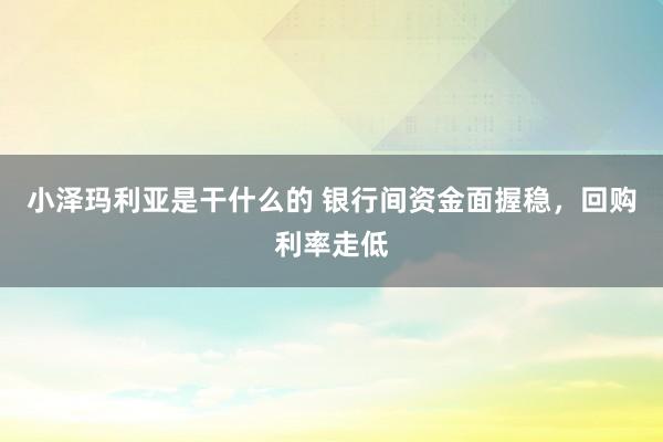 小泽玛利亚是干什么的 银行间资金面握稳，回购利率走低