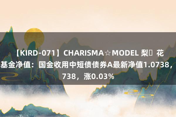 【KIRD-071】CHARISMA☆MODEL 梨々花 7月26日基金净值：国金收用中短债债券A最新净值1.0738，涨0.03%