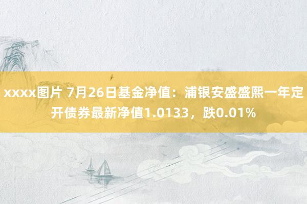 xxxx图片 7月26日基金净值：浦银安盛盛熙一年定开债券最新净值1.0133，跌0.01%