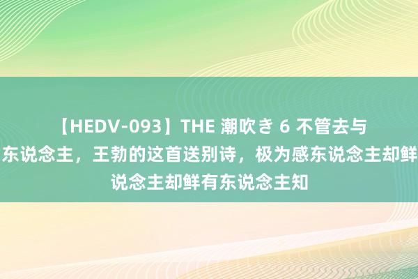 【HEDV-093】THE 潮吹き 6 不管去与住，俱是梦中东说念主，王勃的这首送别诗，极为感东说念主却鲜有东说念主知