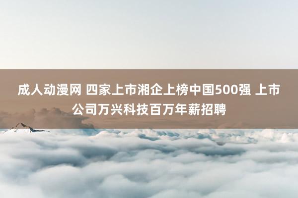 成人动漫网 四家上市湘企上榜中国500强 上市公司万兴科技百万年薪招聘