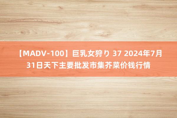 【MADV-100】巨乳女狩り 37 2024年7月31日天下主要批发市集芥菜价钱行情