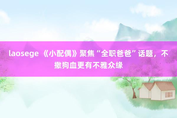 laosege 《小配偶》聚焦“全职爸爸”话题，不撒狗血更有不雅众缘