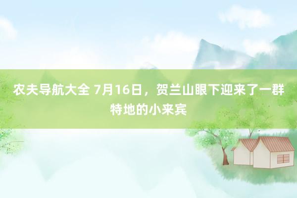 农夫导航大全 7月16日，贺兰山眼下迎来了一群特地的小来宾