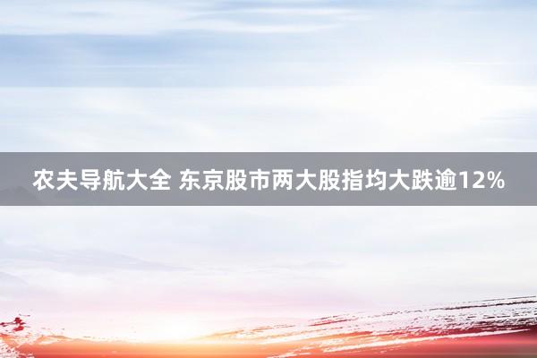 农夫导航大全 东京股市两大股指均大跌逾12%