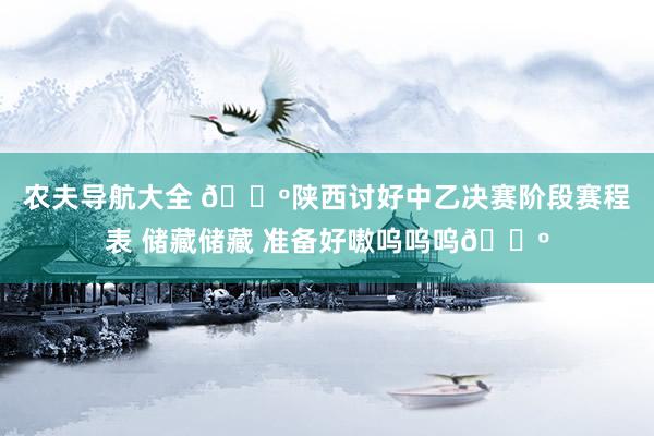 农夫导航大全 ?陕西讨好中乙决赛阶段赛程表 储藏储藏 准备好嗷呜呜呜?