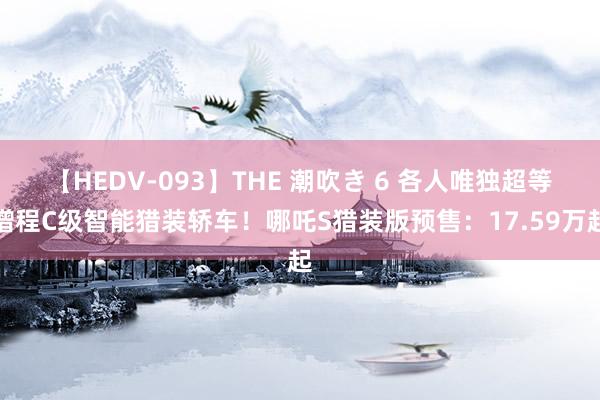 【HEDV-093】THE 潮吹き 6 各人唯独超等增程C级智能猎装轿车！哪吒S猎装版预售：17.59万起