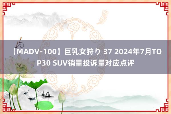 【MADV-100】巨乳女狩り 37 2024年7月TOP30 SUV销量投诉量对应点评