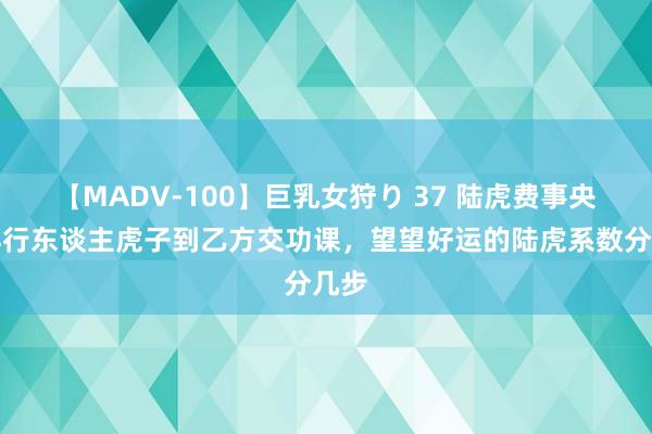 【MADV-100】巨乳女狩り 37 陆虎费事央视再行东谈主虎子到乙方交功课，望望好运的陆虎系数分几步