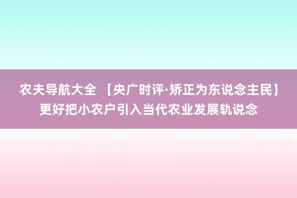 农夫导航大全 【央广时评·矫正为东说念主民】更好把小农户引入当代农业发展轨说念