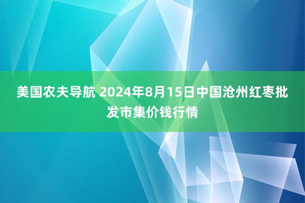 美国农夫导航 2024年8月15日中国沧州红枣批发市集价钱行情