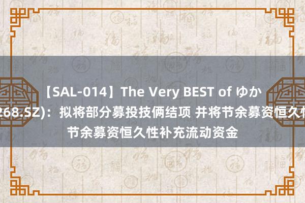 【SAL-014】The Very BEST of ゆか 集结精密(001268.SZ)：拟将部分募投技俩结项 并将节余募资恒久性补充流动资金