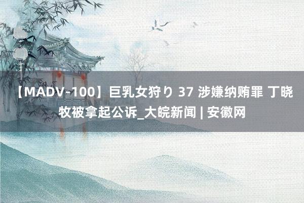 【MADV-100】巨乳女狩り 37 涉嫌纳贿罪 丁晓牧被拿起公诉_大皖新闻 | 安徽网