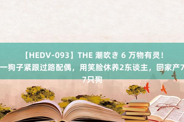 【HEDV-093】THE 潮吹き 6 万物有灵！广东一狗子紧跟过路配偶，用笑脸休养2东谈主，回家产7只狗