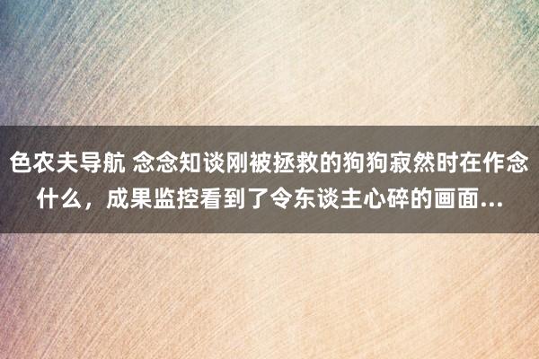 色农夫导航 念念知谈刚被拯救的狗狗寂然时在作念什么，成果监控看到了令东谈主心碎的画面...