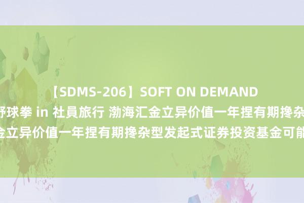 【SDMS-206】SOFT ON DEMAND 女子社員スペシャル野球拳 in 社員旅行 渤海汇金立异价值一年捏有期搀杂: 对于渤海汇金立异价值一年捏有期搀杂型发起式证券投资基金可能触发基金合同终结情形的第三次指示性公告