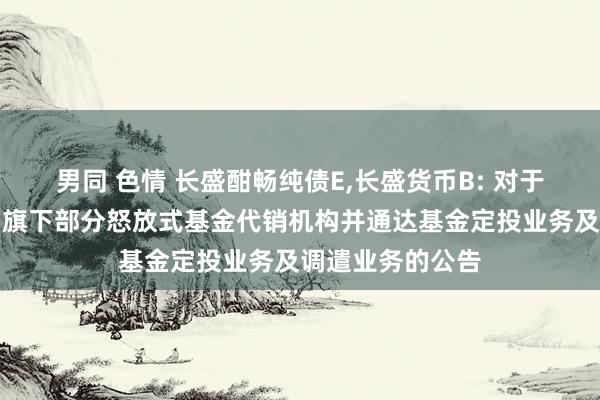 男同 色情 长盛酣畅纯债E，长盛货币B: 对于加多国投证券为旗下部分怒放式基金代销机构并通达基金定投业务及调遣业务的公告