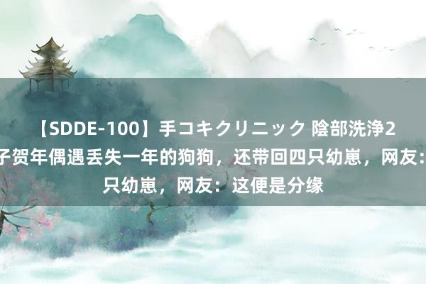 【SDDE-100】手コキクリニック 陰部洗浄20連発SP 女子贺年偶遇丢失一年的狗狗，还带回四只幼崽，网友：这便是分缘