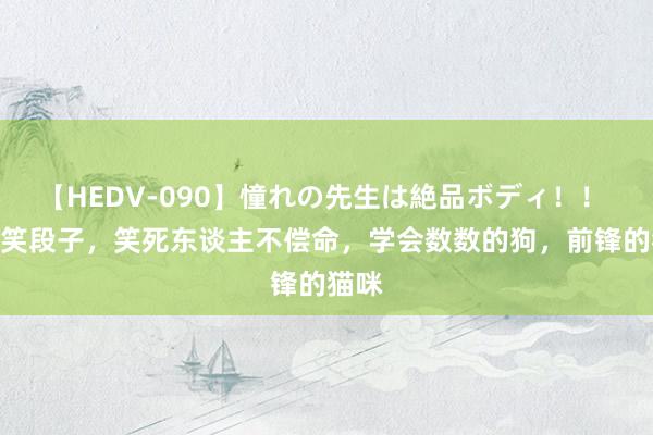 【HEDV-090】憧れの先生は絶品ボディ！！ 3 搞笑段子，笑死东谈主不偿命，学会数数的狗，前锋的猫咪