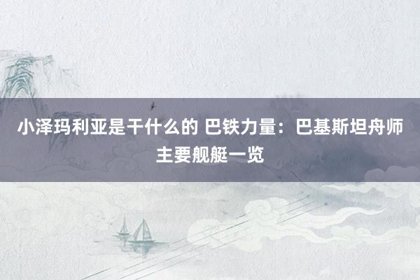 小泽玛利亚是干什么的 巴铁力量：巴基斯坦舟师主要舰艇一览