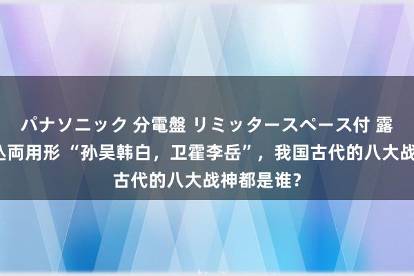 パナソニック 分電盤 リミッタースペース付 露出・半埋込両用形 “孙吴韩白，卫霍李岳”，我国古代的八大战神都是谁？