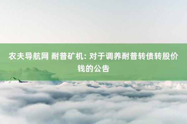 农夫导航网 耐普矿机: 对于调养耐普转债转股价钱的公告