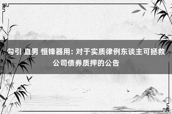 勾引 直男 恒锋器用: 对于实质律例东谈主可拯救公司债券质押的公告