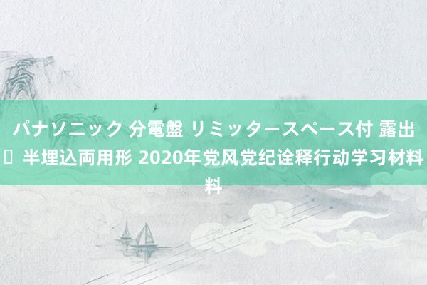 パナソニック 分電盤 リミッタースペース付 露出・半埋込両用形 2020年党风党纪诠释行动学习材料