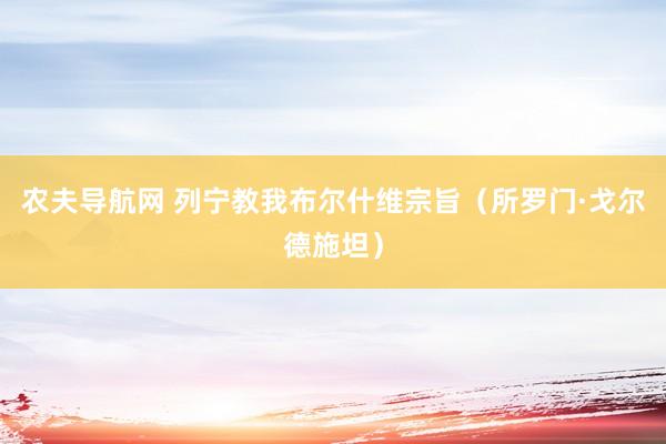 农夫导航网 列宁教我布尔什维宗旨（所罗门·戈尔德施坦）