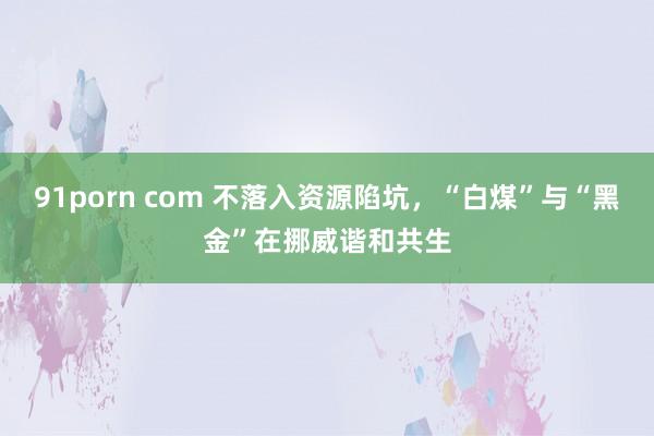 91porn com 不落入资源陷坑，“白煤”与“黑金”在挪威谐和共生